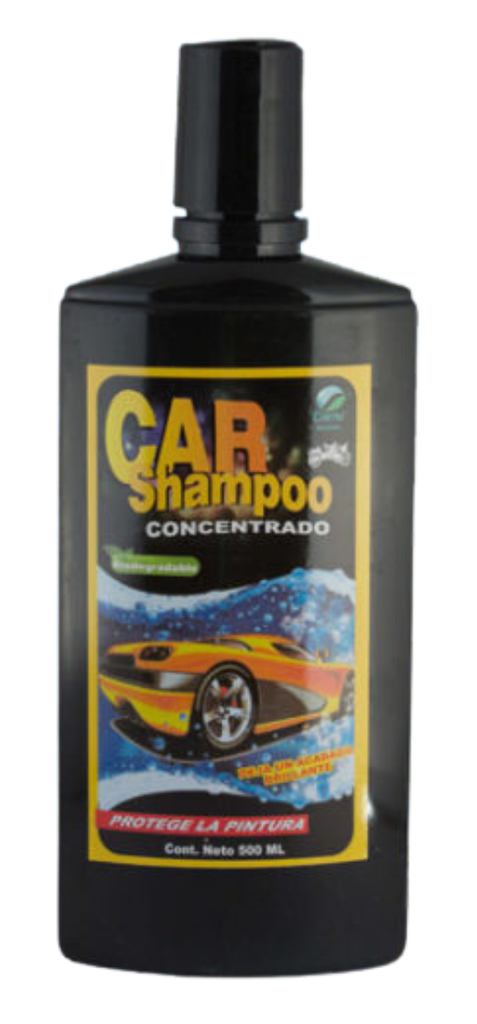 CARNU SHAMPOO LAVA AUTOS (0138)