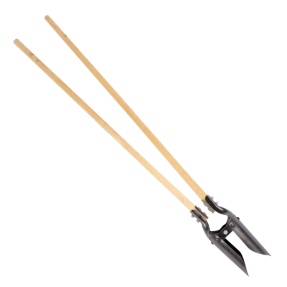 CAVAHOYOS BELLOTA REFORZADO CLASSIC (5653-C)