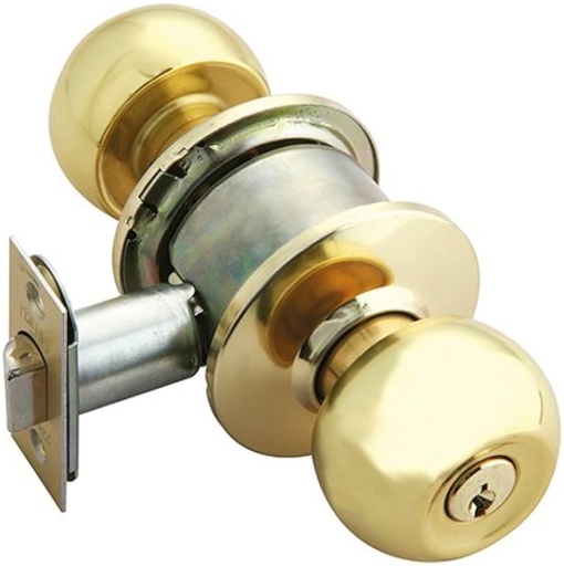 [PHCEGT81BÑL5968] PERILLA PHILLIPS GAMMA CILÍNDRICA ENTRADA LATÓN SATINADO (MX5968)