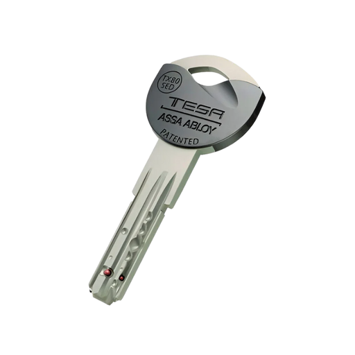 [PHCEMX86564] SERVICIO DE DUPLICADO TX80 (MX86564)